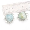 Organic Claws Bubble Claw Thorns Point Heart Plant Spiky Semi-precious Stone Amazonite Pendant